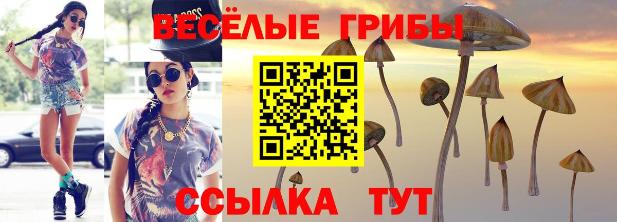 Псилоцибиновые грибы прущие грибы  Галлюциногенные грибы Psilocybe  Вход с VPN  Люберцы 